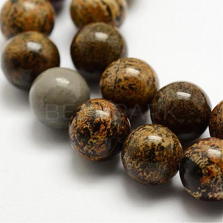 Natural Dendritic Jasper Beads Strands G-E382-07-6mm-1