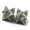 Natural Sesame Jasper/Kiwi Jasper Beads G-A206-01B-62-2
