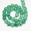 Natural Agate Beads Strands G-G580-10mm-13-2
