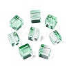 Baking Paint Transparent Glass Beads DGLA-N005-01A-05-2