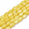 Natural Freshwater Shell Beads Strands SHEL-N003-25-B05-1