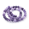 Natural Crackle Agate Beads Strands G-G055-8mm-8-4