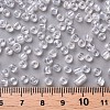 6/0 Glass Seed Beads SEED-A006-4mm-101-3