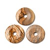 Natural Picture Jasper Pendants G-P532-01A-27-1