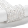Natural Rainbow Moonstone Beads Strands X-G-J400-E12-01-1