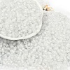 6/0 Luminous Glass Seed Beads X1-SEED-NH0001-01A-2