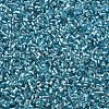 Glass Bugle Beads SEED-S032-08A-23-3