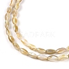 Natural Freshwater Shell Beads Strands X-BSHE-G036-03-3