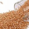 TOHO 11/0 Round Beads SEED-XTR11-0923-1