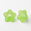 Transparent Acrylic Beads PL560-5-1