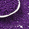 Baking Paint Glass Seed Beads SEED-S002-K11-1