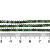 Natural Fuchsite Beads Strands G-F782-A03-01-5