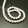 Shell Pearl Beads Strands BSHE-E008-16mm-12-3