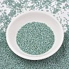 MIYUKI Delica Beads SEED-J020-DB2313-2