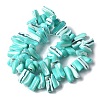 Dyed Natural Trochus Shell Beads Strands X-SSHEL-C013-09M-2