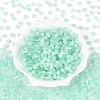 Glass Seed Beads SEED-T007-17L-2