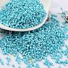 Baking Paint Glass Seed Beads X-SEED-S042-15B-34-1