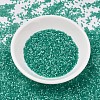MIYUKI Delica Beads SEED-X0054-DB1813-2