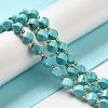 Dyed Natural Howlite Beads Strands G-G023-B01-02B-2