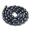 Electroplate Glass Beads Strands EGLA-E010-10x15mm-F03-3