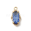 Brass Glass Charms KK-U061-10G-02-1