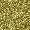 TOHO 11/0 Round Beads X-SEED-TR11-0295-2