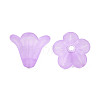Frosted Acrylic Beads PL692-5-1