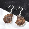 Fossil Spiral Dangle Earrings EJEW-P153-01-5