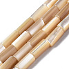 Natural Trochid Shell/Trochus Shell Beads Strands SSHEL-S266-020B-02-1