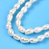 Natural Cultured Freshwater Pearl Beads Strands PEAR-N012-02Y-01-4