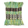 10 Skeins 6-Ply Polyester Embroidery Floss OCOR-K006-A22-1
