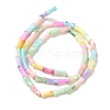 Rainbow Color Dyed Natural Freshwater Shell Beads Strands X1-SHEL-G018-02C-2