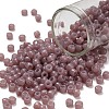 TOHO 6/0 Round Beads SEED-TR06-1151-1