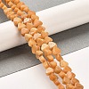 Natural Dolomite Beads Strands G-F765-H03-01-2