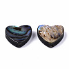 Natural Abalone Shell/Paua Shell Beads SSHEL-T014-16B-2