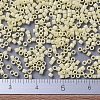 MIYUKI Delica Beads X-SEED-J020-DB1491-4