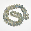 Frosted Electroplate Glass Shell Beads Strands X-EGLA-M002-B04-2