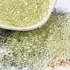 Glass Seed Beads SEED-K009-04A-02-1