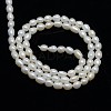 Natural Cultured Freshwater Pearl Beads Strands X-PEAR-L001-D-03-3