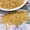 MIYUKI Delica Beads SEED-X0054-DB1801-1