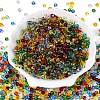 FGB Transparent Glass Seed Beads SEED-N013-01A-01-2