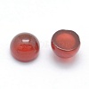 Natural Carnelian Cabochons G-P393-R03-12MM-2