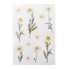 Flower Pattern Waterproof Self Adhesive Hot Stamping Stickers DIY-I063-03-2