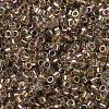 Glass Seed Beads SEED-S042-13A-16-3