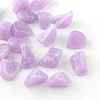 Chip Imitation Gemstone Acrylic Beads LS-OACR-R021-17-1