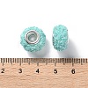 AB Color Resin Rose Flower European Beads RESI-M001-05E-3