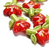 Handmade Lampwork Beads Strands LAMP-A005-03F-2