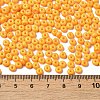 Baking Paint Glass Seed Beads X1-SEED-B001-02A-17-4