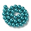 Eco-Friendly Glass Pearl Beads Strands HY-A008-14mm-RB073-2