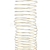 Stainless Steel Memory Wire TWIR-ZX007-G-4